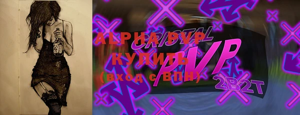 индика Ладушкин