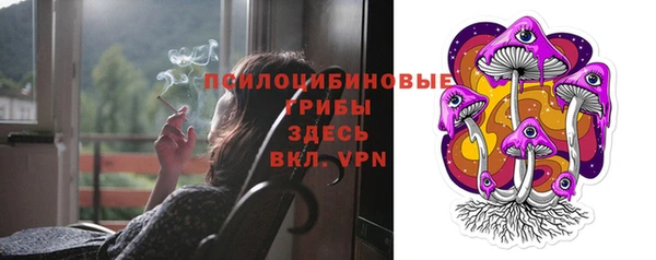 гидра Киренск