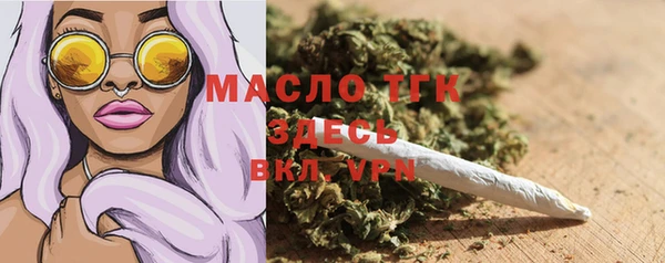 индика Ладушкин