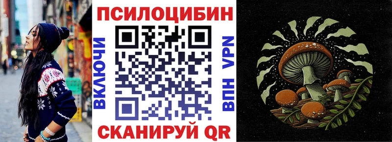 ссылка на мегу зеркало Тверь Псилоцибиновые грибы GOLDEN TEACHER